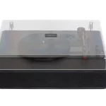 VINYL-25AMP